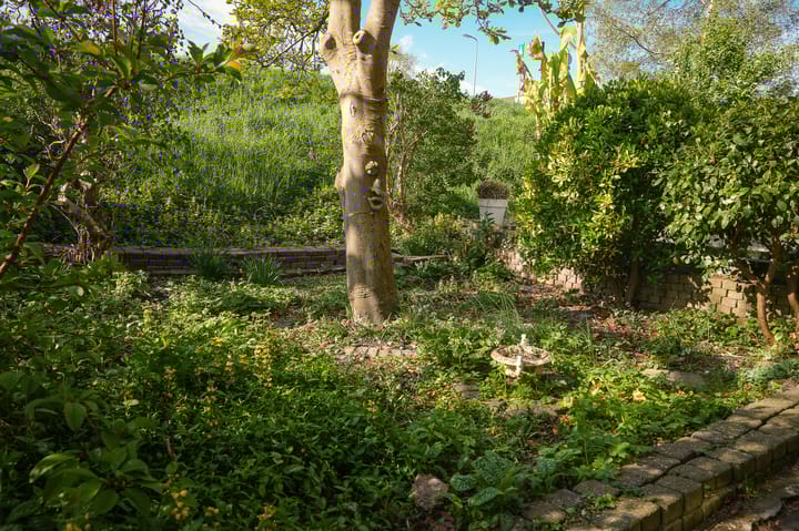 Foto 26 van Horndijk 29