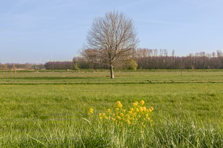 Foto 52 van Jan Steenstraat 140