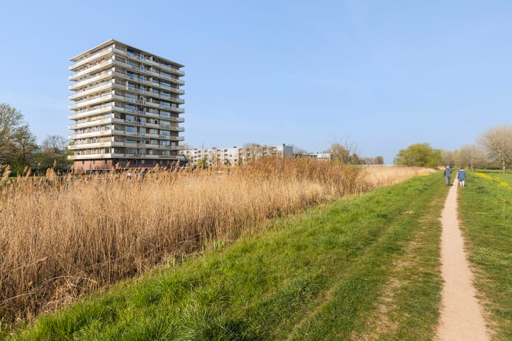 Foto 53 van Jan Steenstraat 140