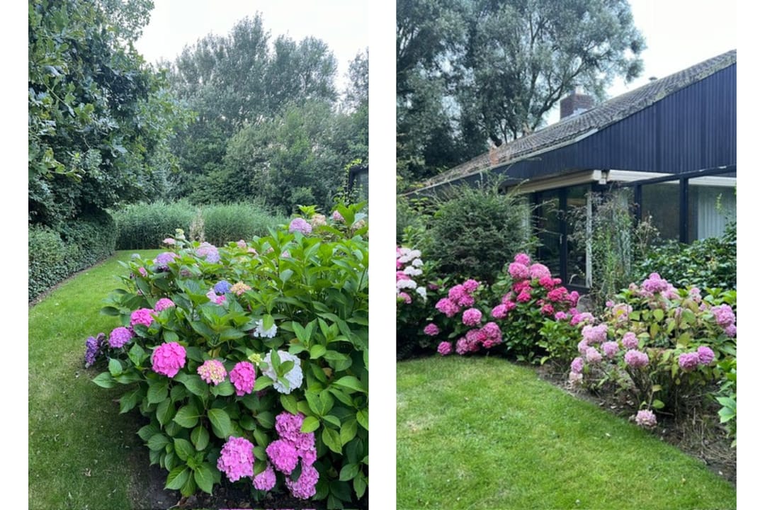 Foto 22 van Prinsepark 22.