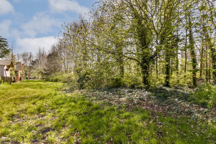 Foto 17 van Willem Bontekoestraat 15