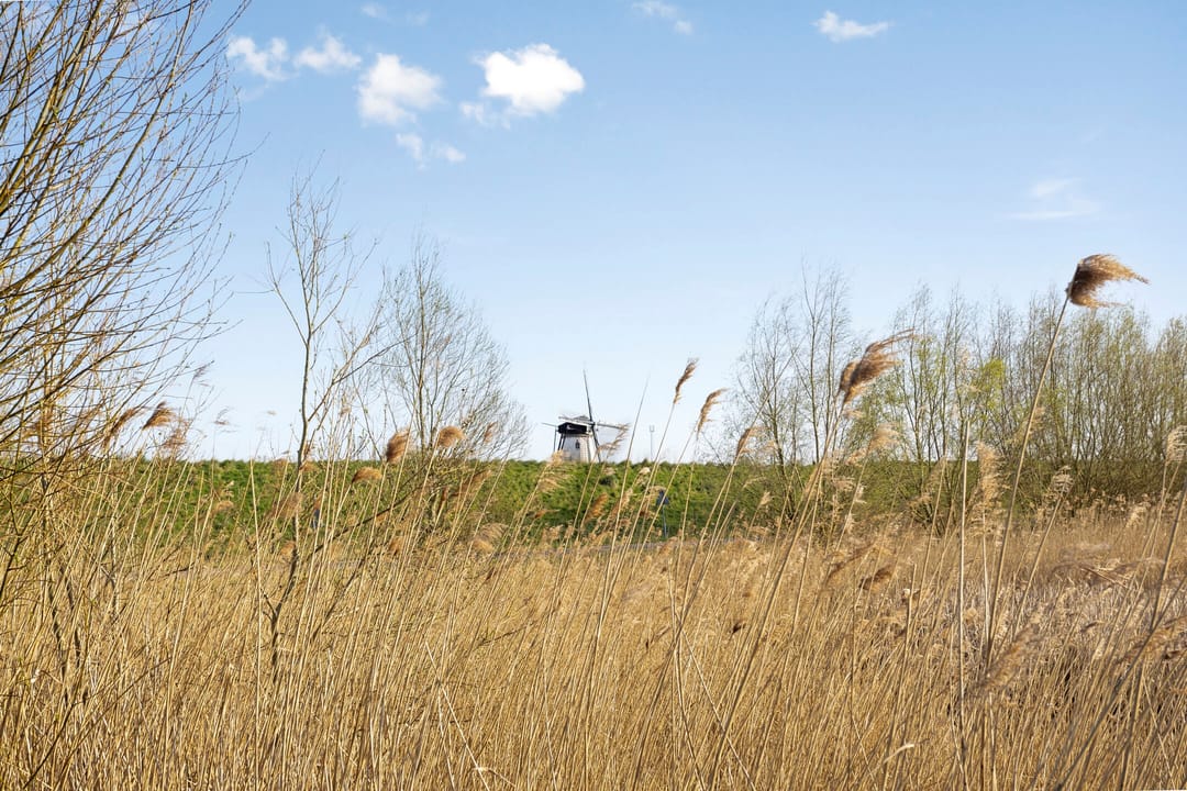 Foto 38 van Veerdam 10