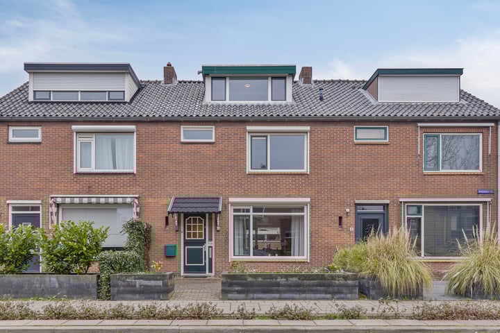 Akkerdistel 9