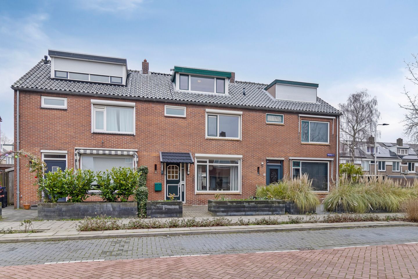 Foto 4 van Akkerdistel 9