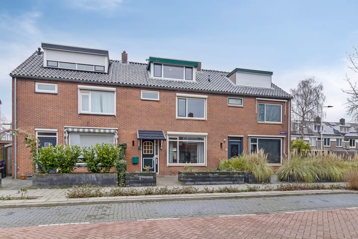 Foto 4 van Akkerdistel 9