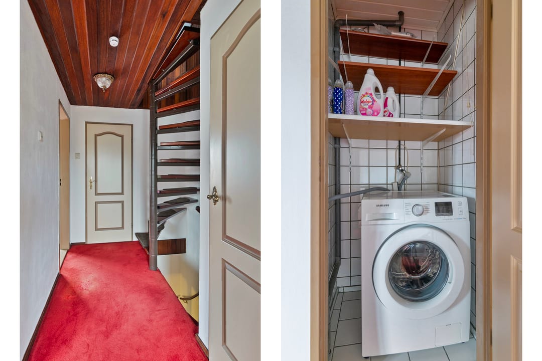 Foto 17 van Akkerdistel 9