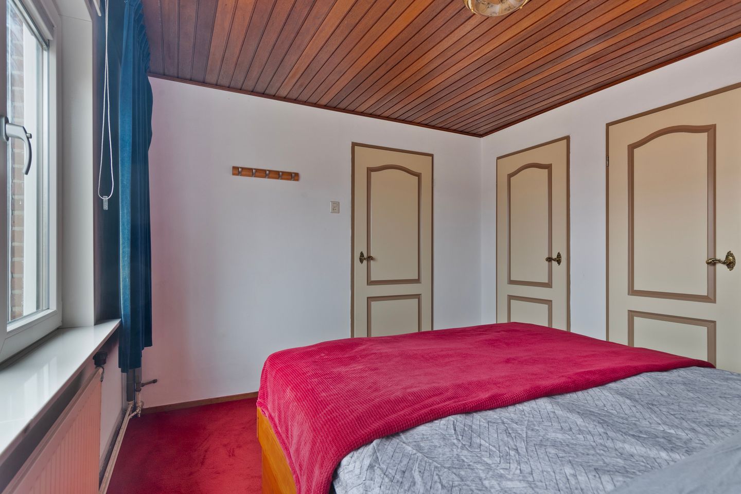 Foto 19 van Akkerdistel 9