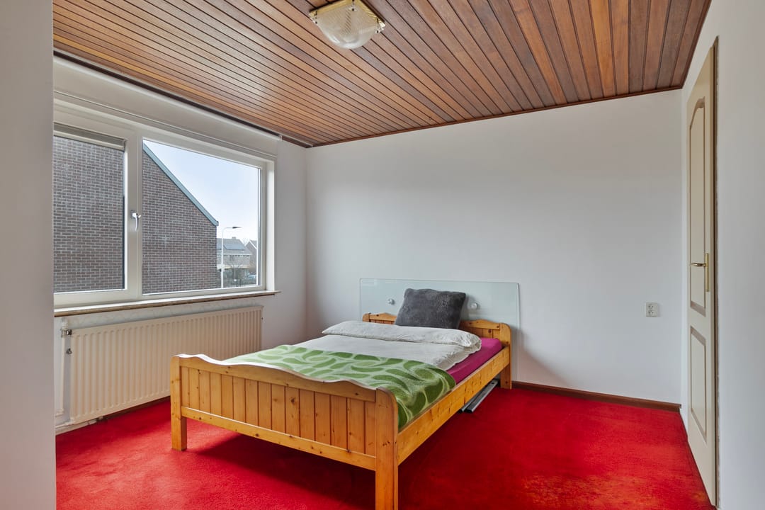 Foto 22 van Akkerdistel 9