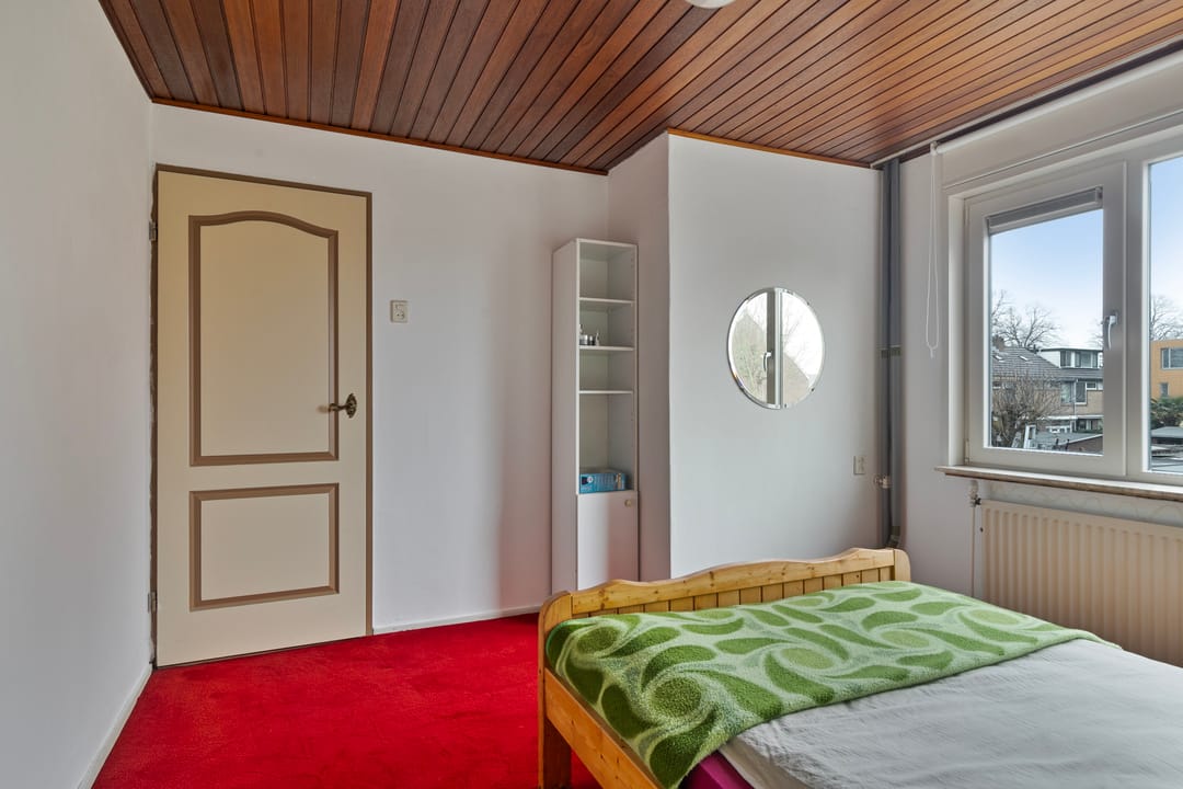 Foto 23 van Akkerdistel 9