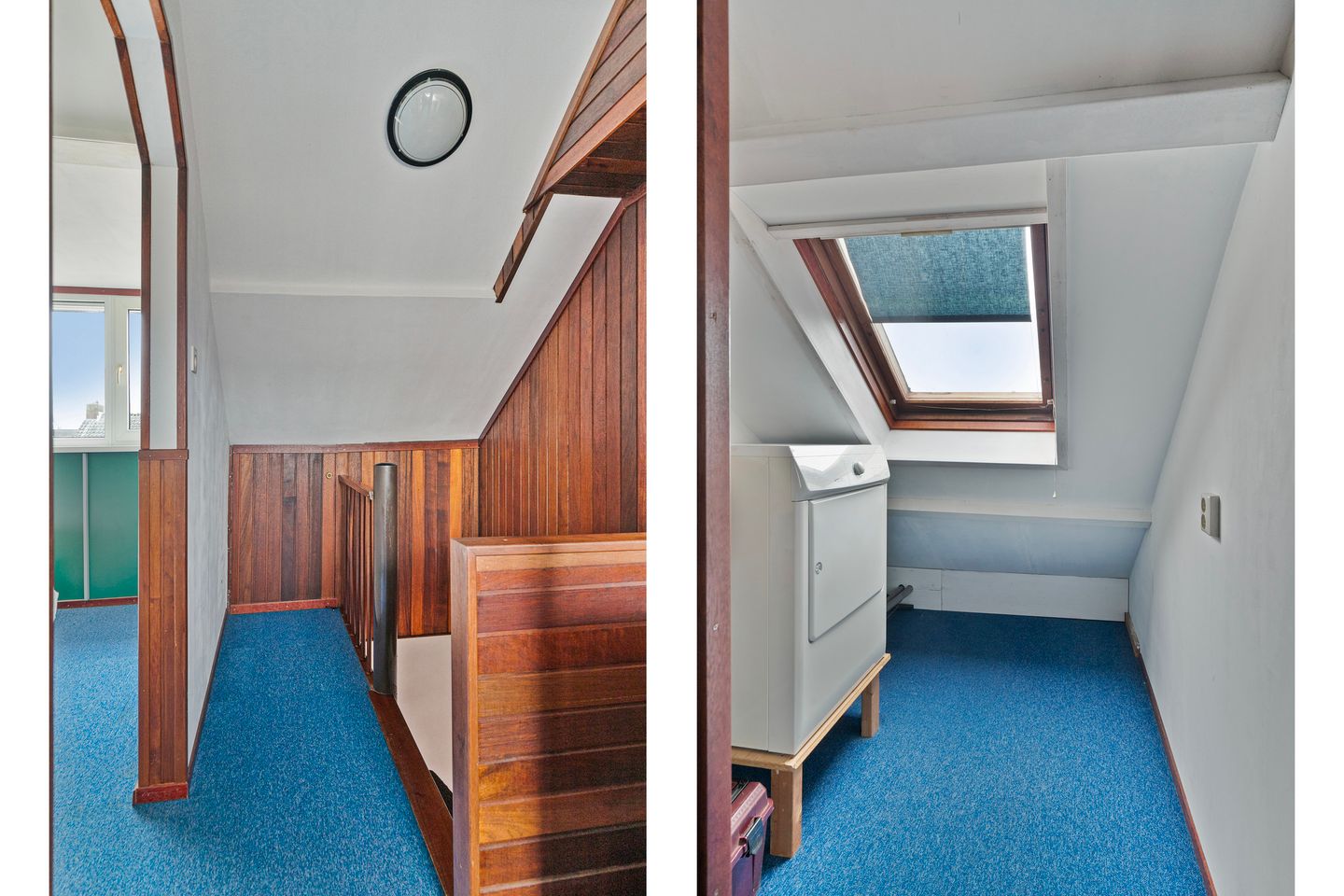 Foto 25 van Akkerdistel 9