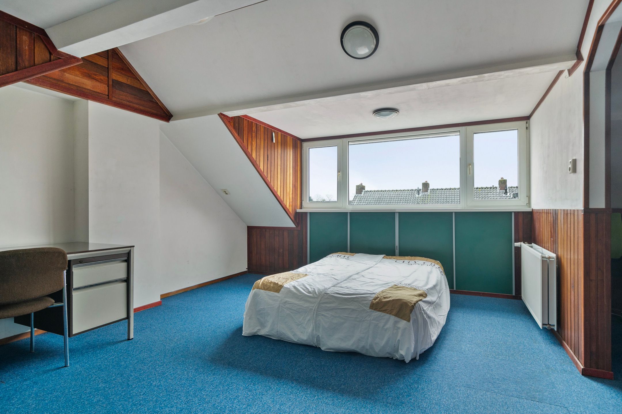 Foto 27 van Akkerdistel 9