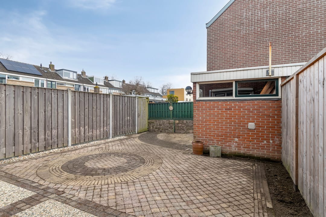 Foto 31 van Akkerdistel 9