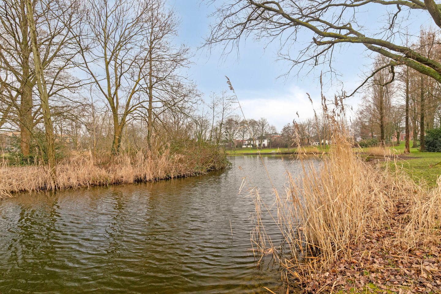 Foto 35 van Akkerdistel 9