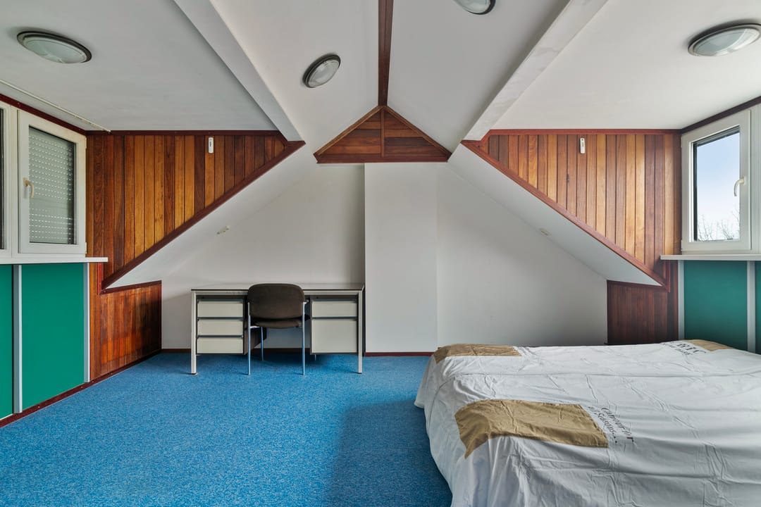 Foto 26 van Akkerdistel 9