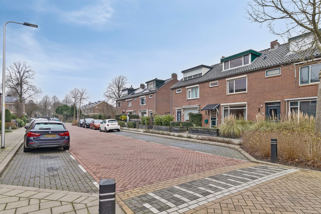 Foto 32 van Akkerdistel 9