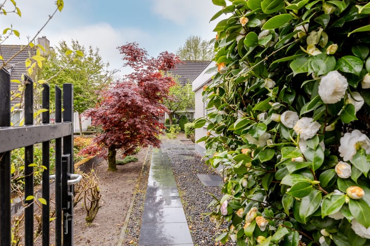 Foto 32 van Jachterf 18