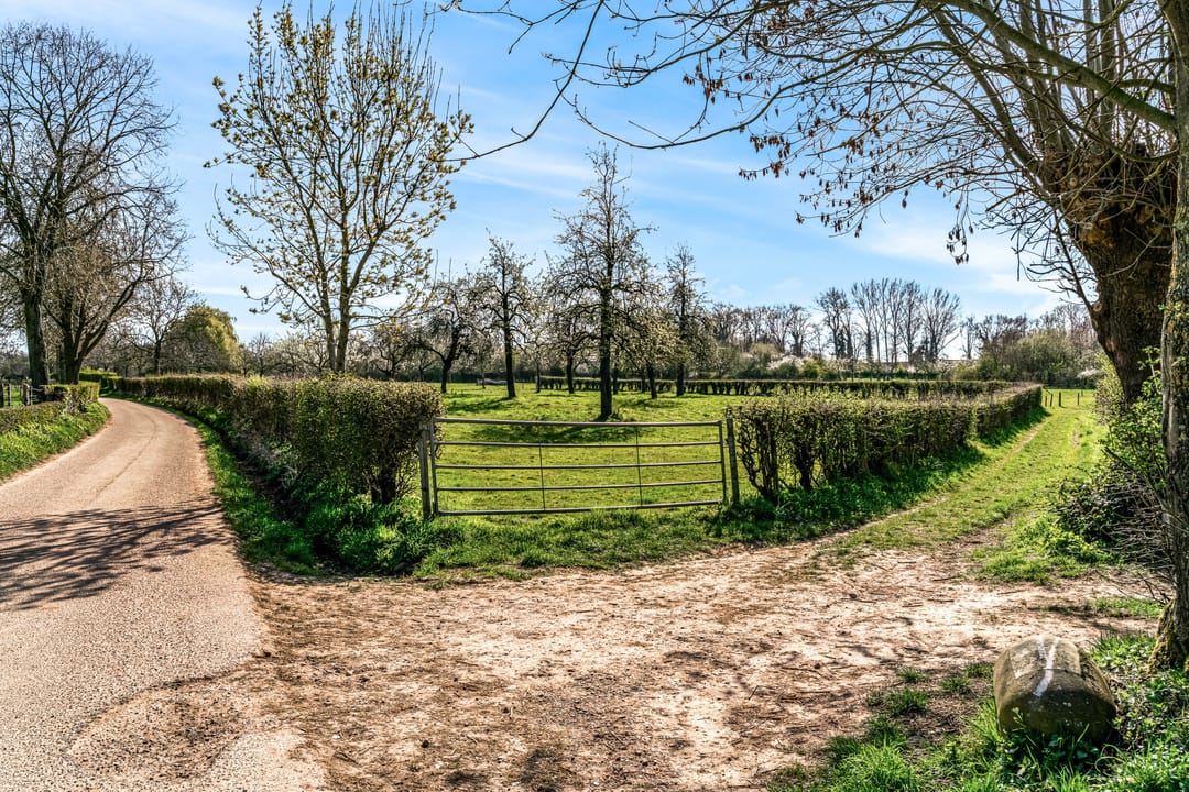 Foto 41 van Hoolstraat 62-A