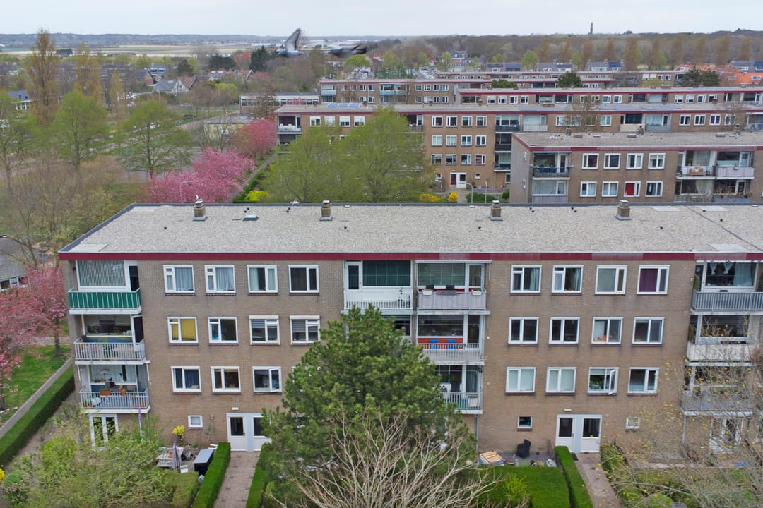 Foto 7 van Salviahof 21