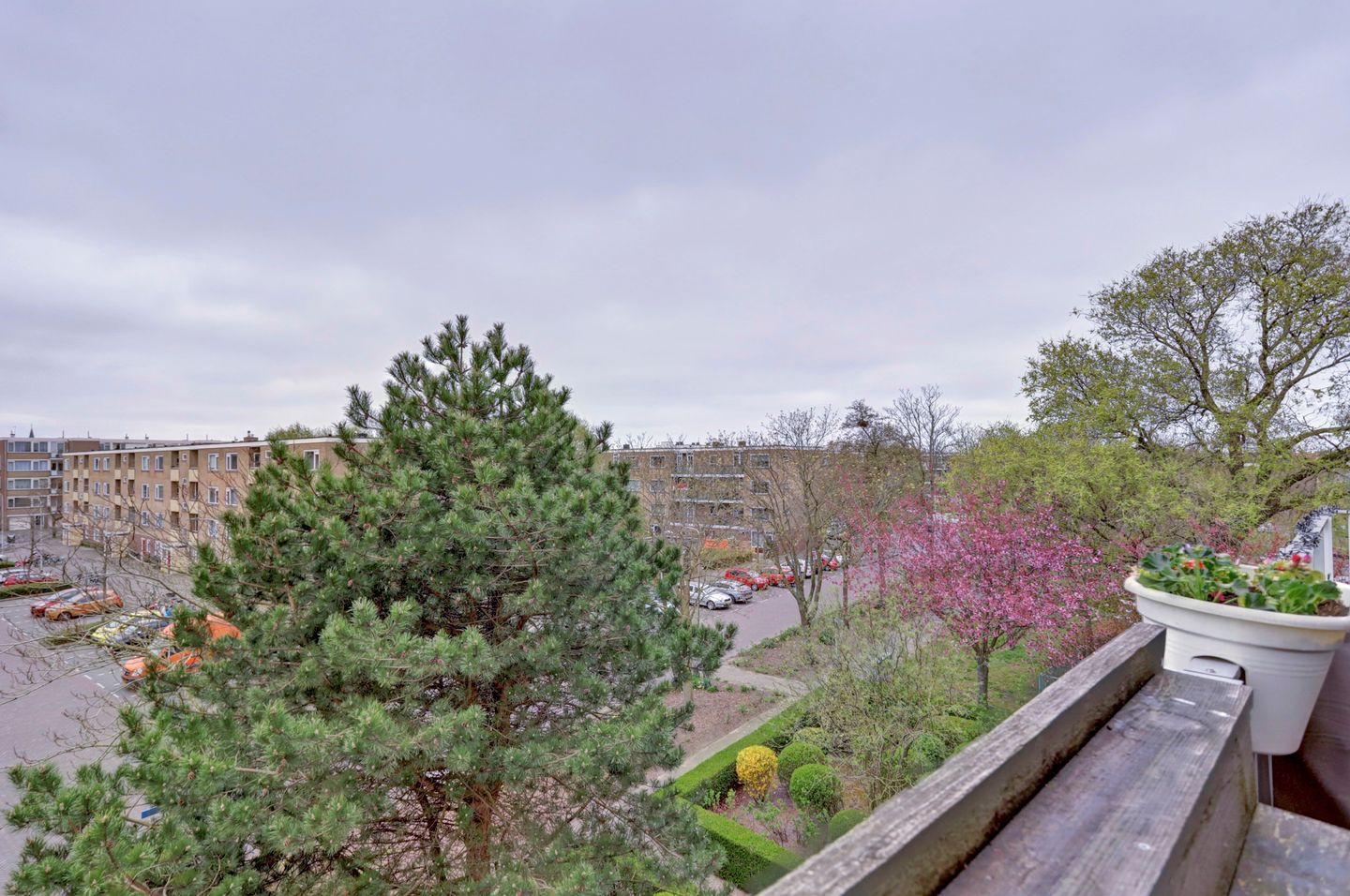 Foto 20 van Salviahof 21