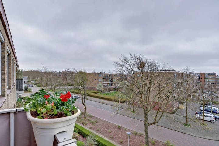 Foto 21 van Salviahof 21