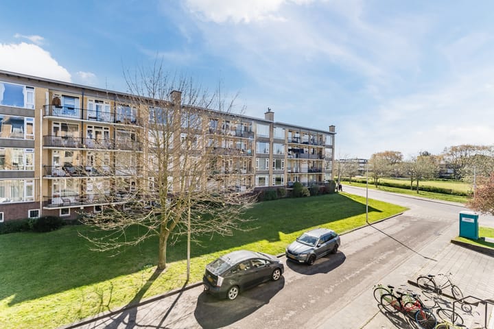 Photo 26 of Tolsteegplantsoen 29-1