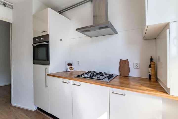 Photo 29 of Tolsteegplantsoen 29-1