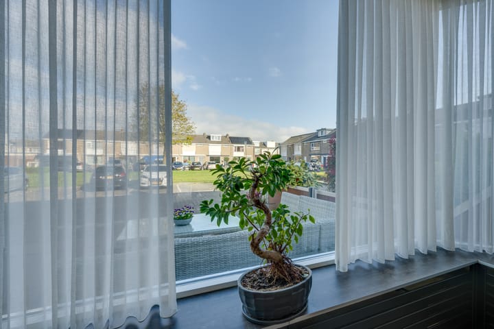 Foto 16 van Pluvierplantsoen 3