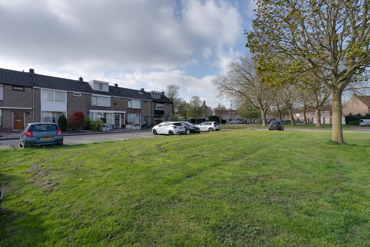 Foto 42 van Pluvierplantsoen 3