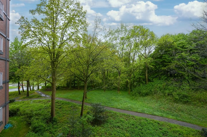 Foto 24 van Drieoortsput 15