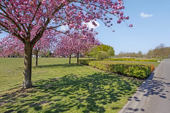 Foto 51 van Hindeloopenstraat 98