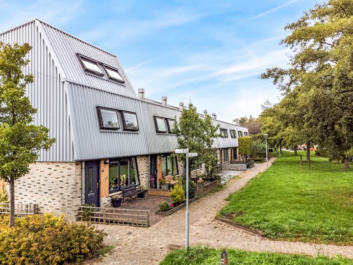 Foto 5 van Cees Buddingh'hof 64