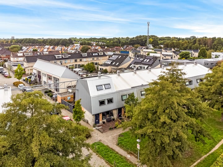 Foto 38 van Cees Buddingh'hof 64