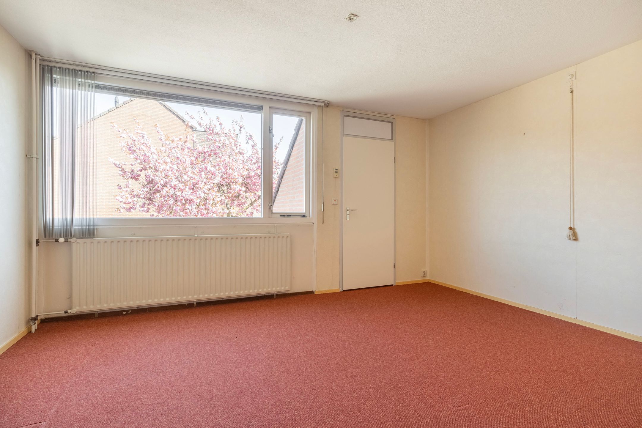 Photo 12 of Wildforster 30