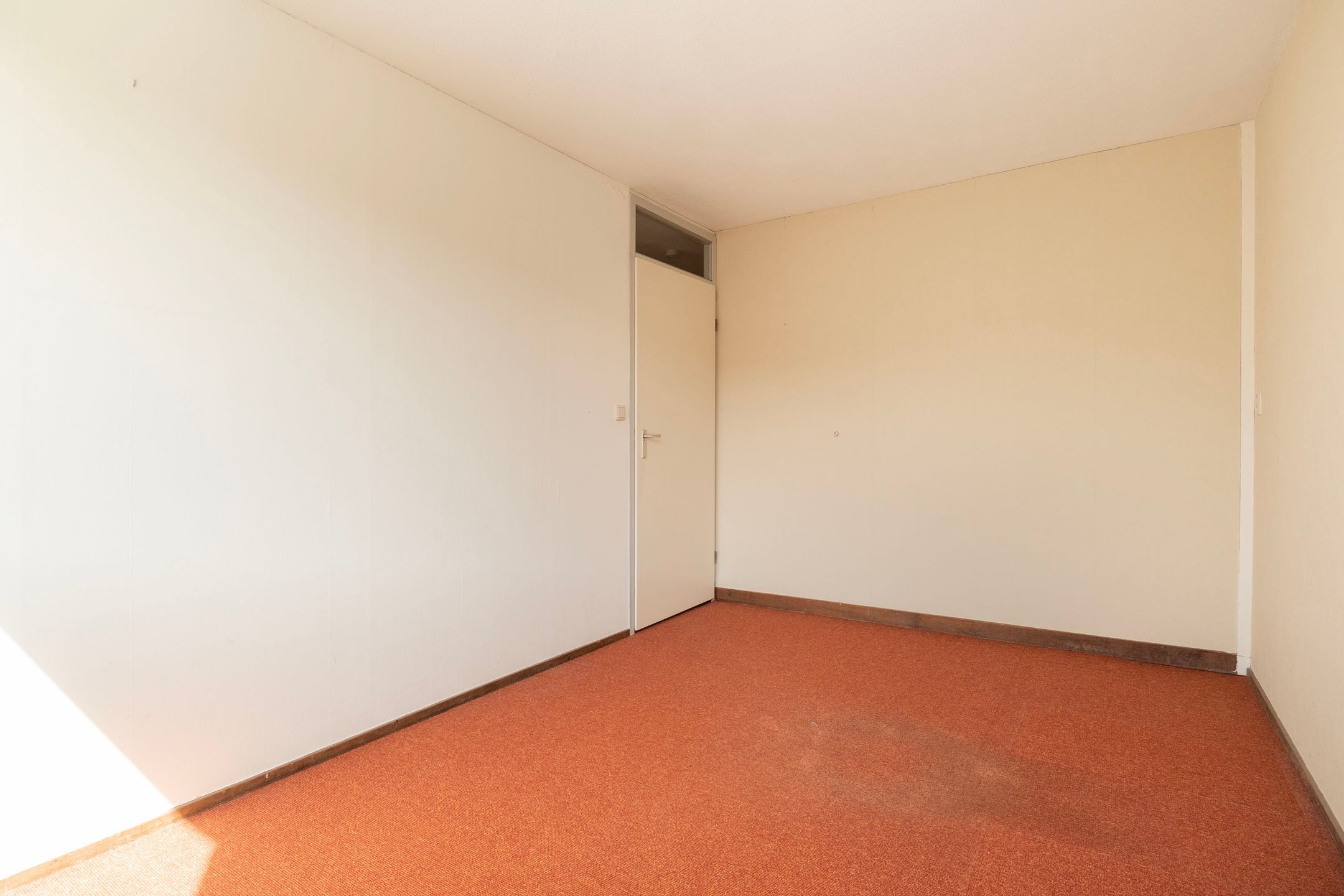 Photo 15 of Wildforster 30