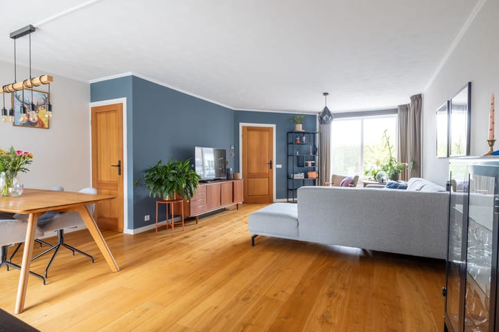 Foto 10 van Koolzaad 26