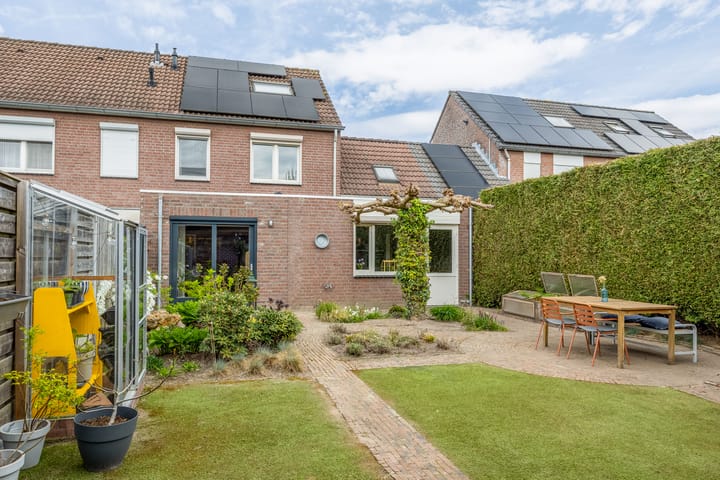 Foto 51 van Koolzaad 26