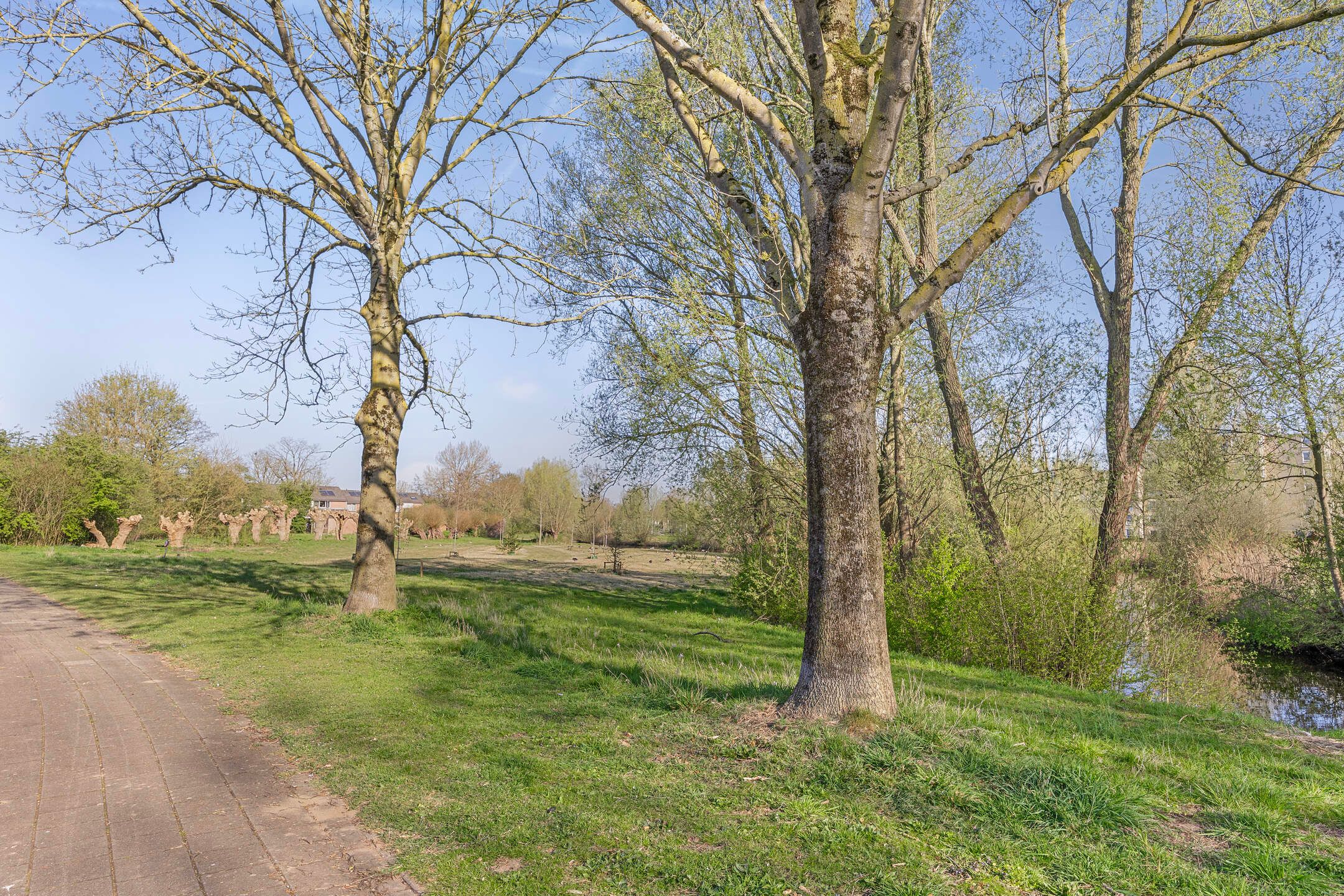 Foto 27 van Stokebrand 357