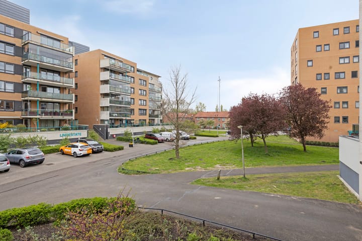 Foto 29 van Iepstate 5