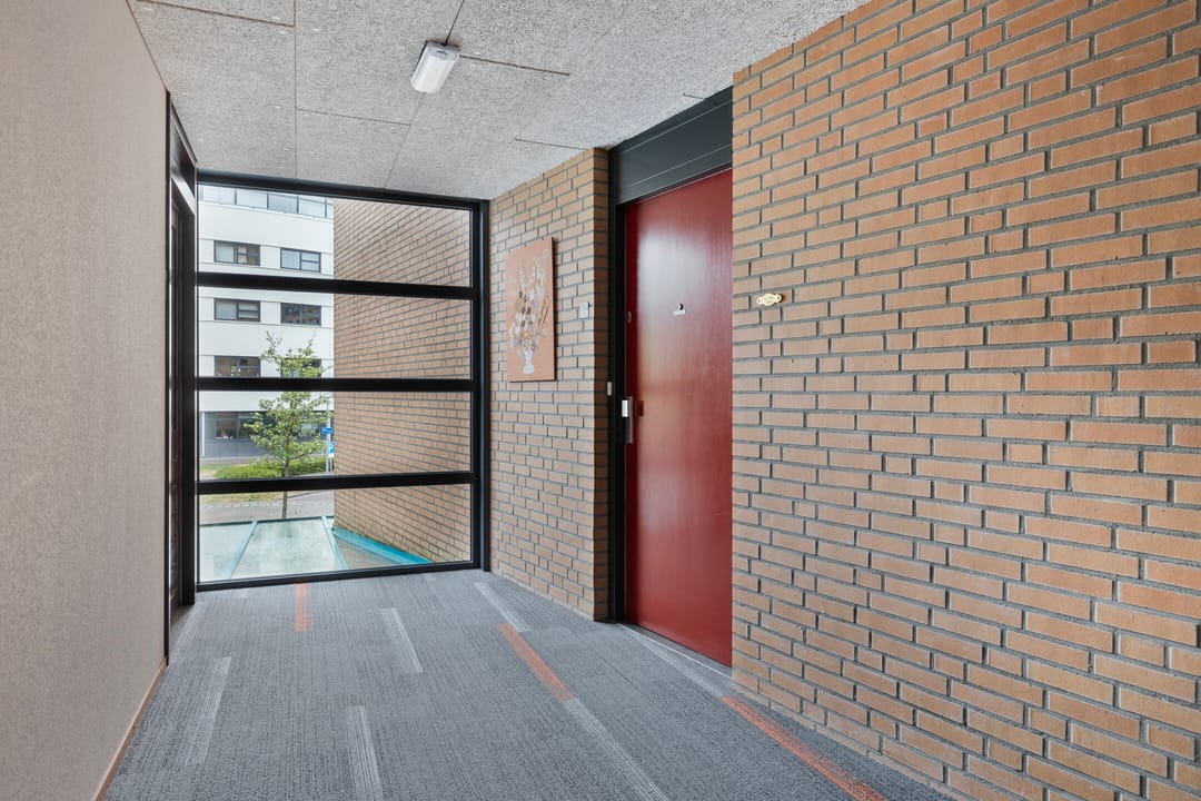 Photo 7 of Iepstate 5