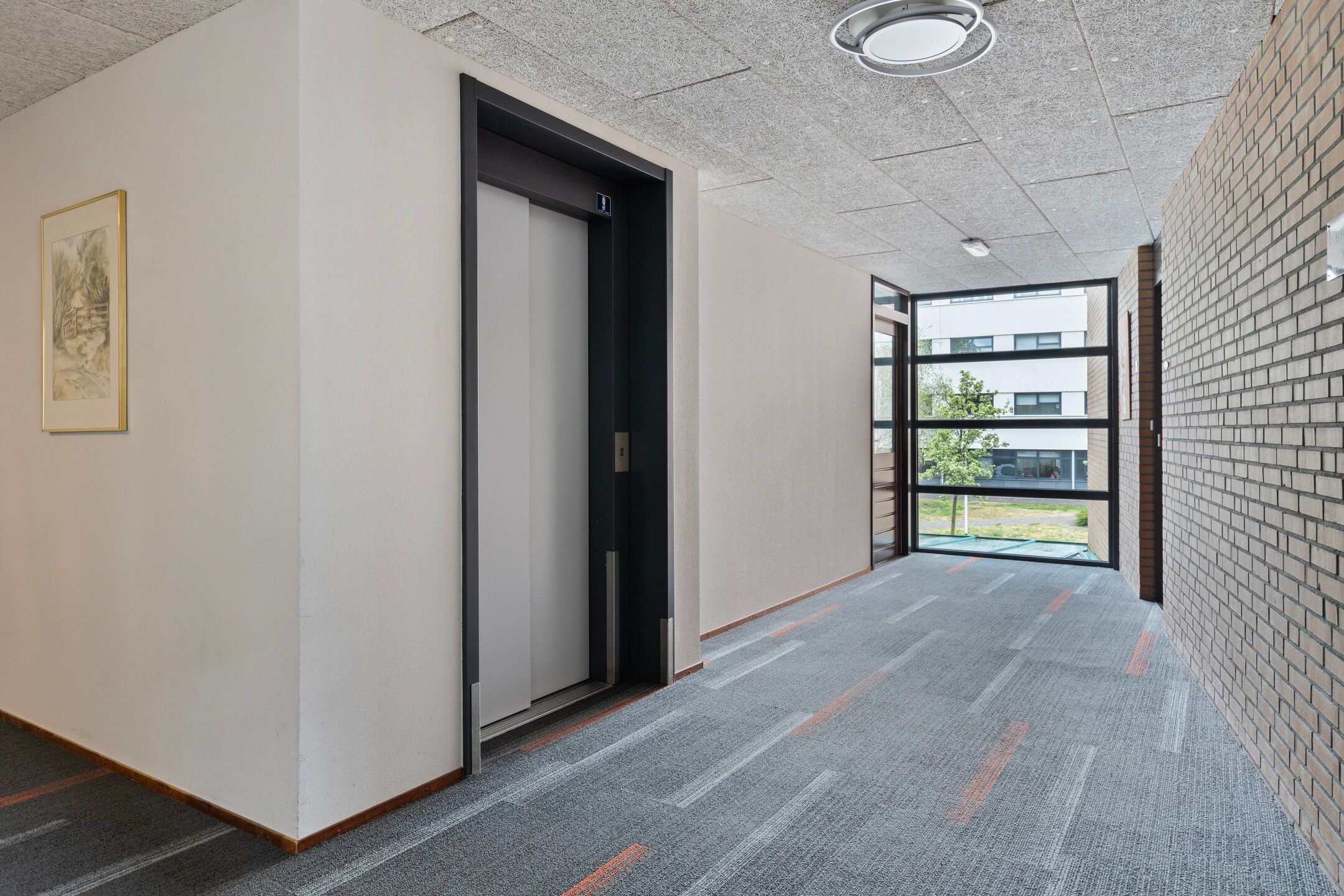 Photo 6 of Iepstate 5