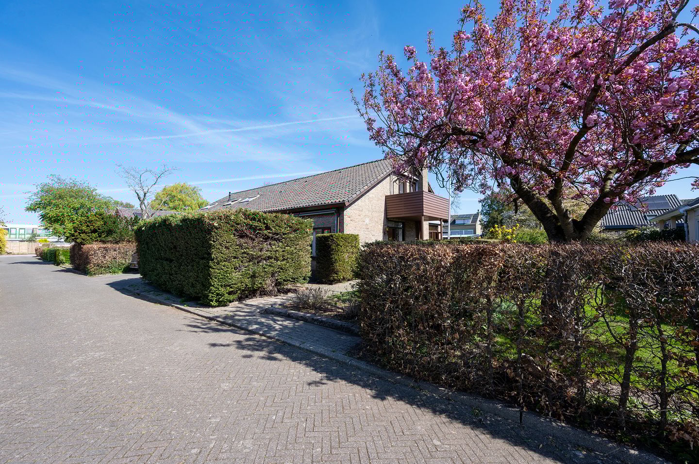 Foto 4 van Park Ypenburg 14