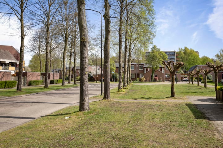 Foto 23 van Looiersdreef 510