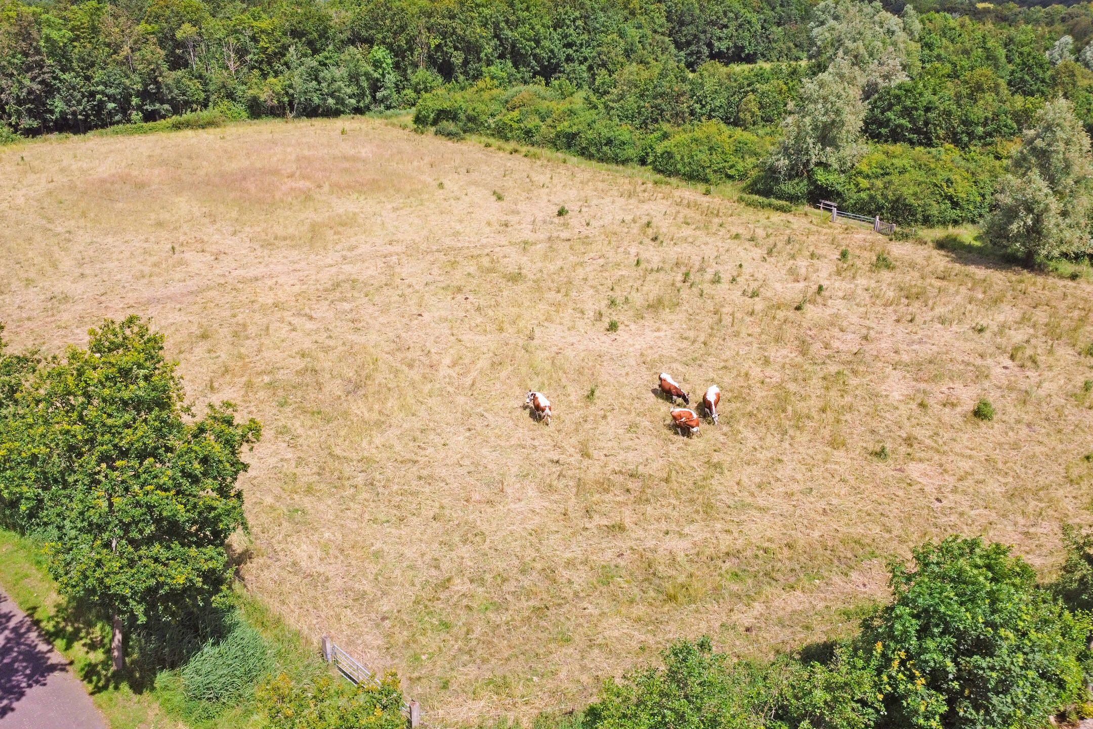 Foto 48 van Oude Domburgseweg 28