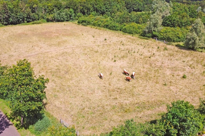 Photo 48 of Oude Domburgseweg 28