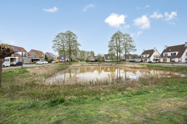 Foto 2 van Koekoeksbloem 10