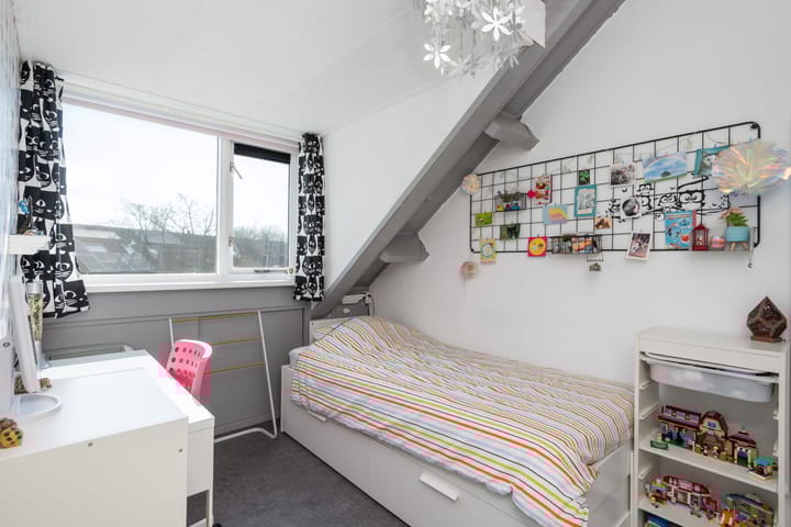 Foto 17 van Meerkoet 12