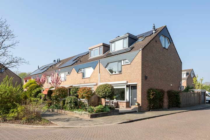 Foto 1 van Meerkoet 12