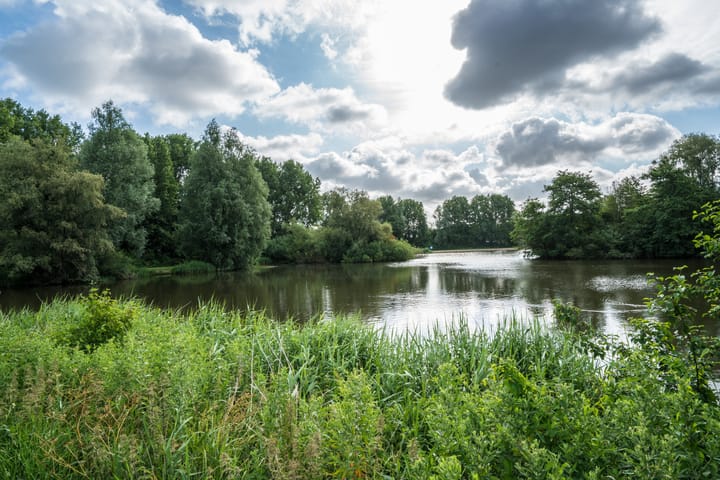 Foto 23 van Meerkoet 12