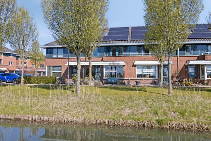 Boterbloem 3