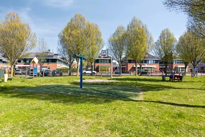 Foto 41 van Boterbloem 3